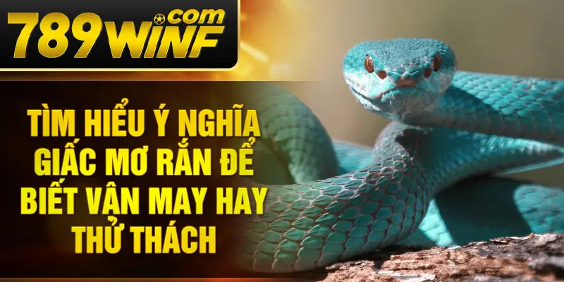 Tìm hiểu ý nghĩa giấc mơ rắn để biết vận may hay thử thách 